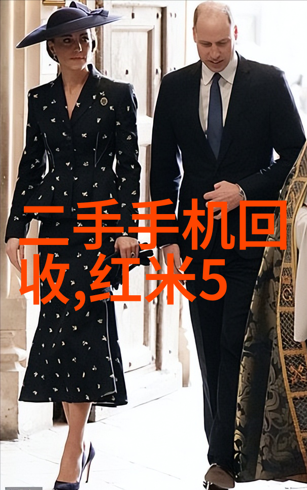 杀虫公司收费标准解析了解你的预算和需求