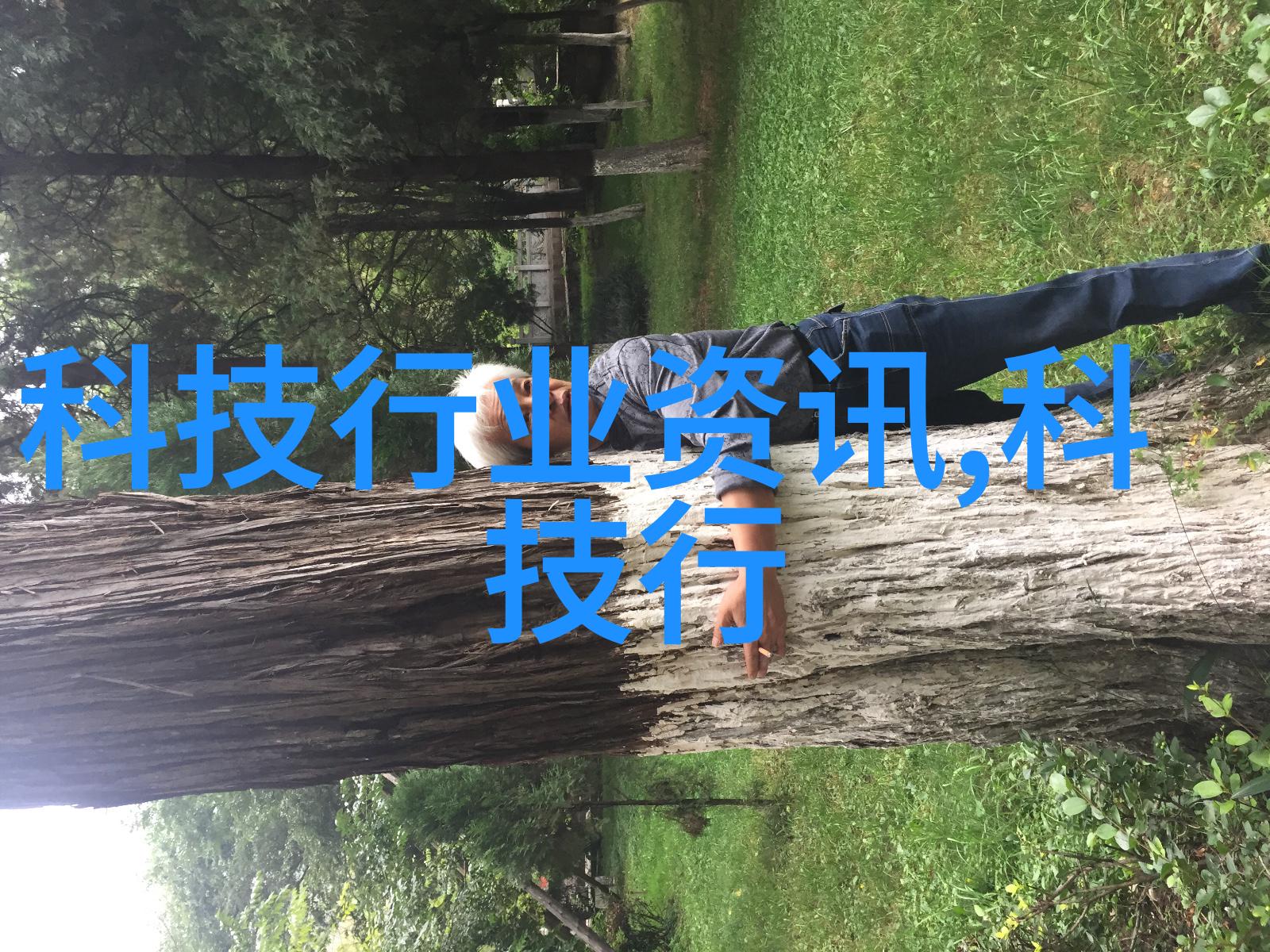 我的个人工作总结-回顾与展望职业生涯的每一步成长