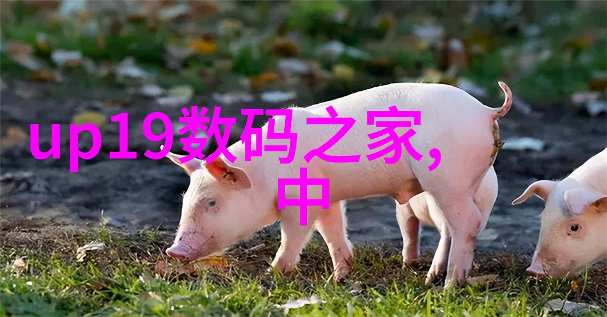 情感表达与事实核查编织出真实感人的家困求助信故事