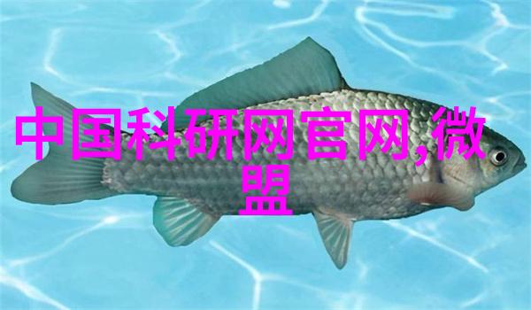镜面琉璃不锈钢装饰的诗意铭刻