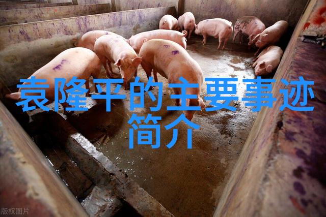 粉体设备的应用与挑战