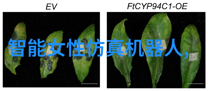 救赴时空每次救驾都来迟的守候者