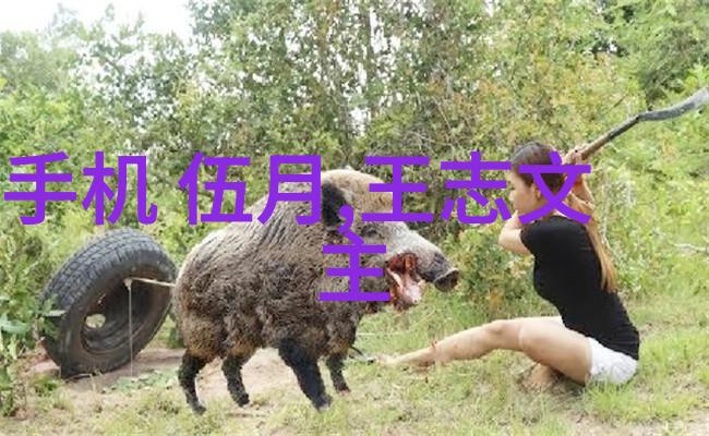 张津瑜9分58篮球与执着的故事