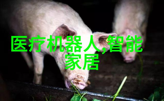 滚筒干燥设备高效干燥技术的新选择