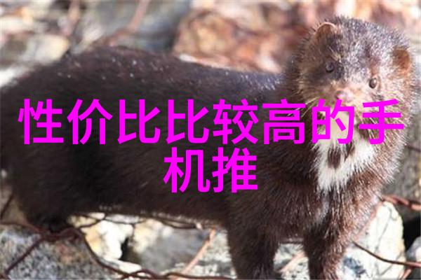 静态混合器专业级电动搅拌设备