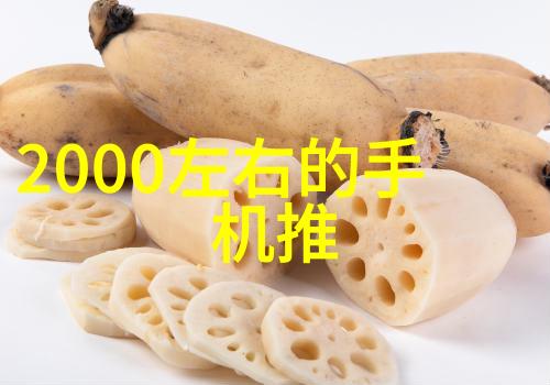 反应釜分类简析从混合釜到催化釜揭秘不同应用的反应设备