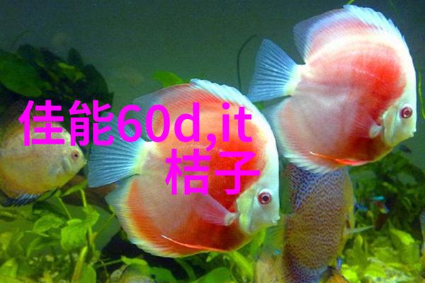 揭秘仪器测试精准检测的科学语言与技术含义