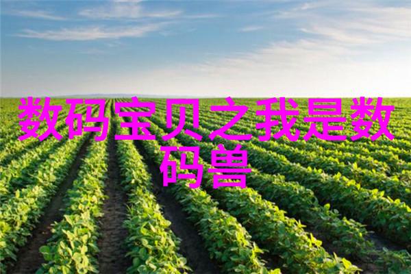 2021年新款客厅装修风格大集合创意空间的完美诠释