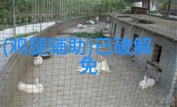 煤炭分选机开启煤矿资源的智能化新篇章
