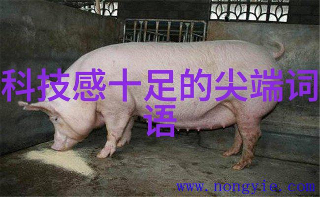HDPE排水管件图解全解析