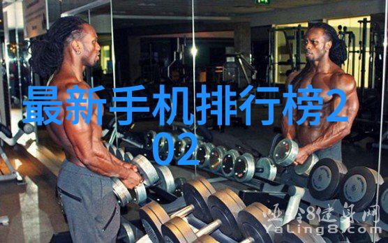 化工膜的秘密揭开膜组件背后的谜团