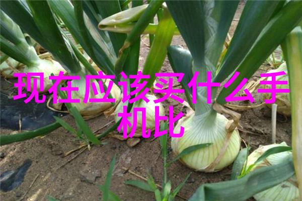 宝宝是我撞进入还是你坐视频揭秘育儿时代的科技与亲情