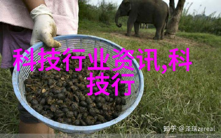 科技部官方网站首页开启科创新篇章的窗口