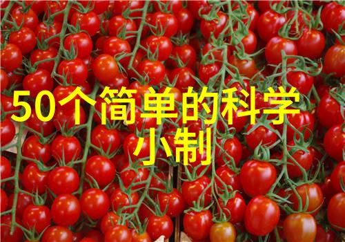 回归的征途记将军的归来