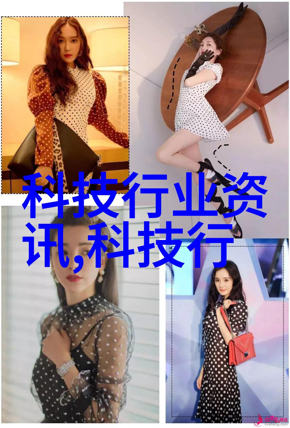 醉琼枝狂上加狂我就是那个在酒吧里疯狂摇摆的姑娘