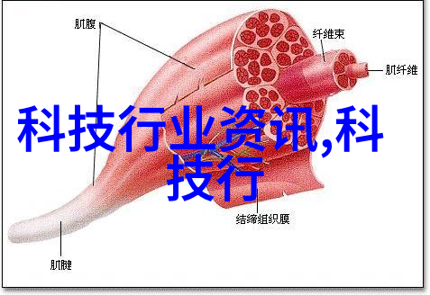 反应釜双端面机械密封之谜如何确保其稳定性与耐用性