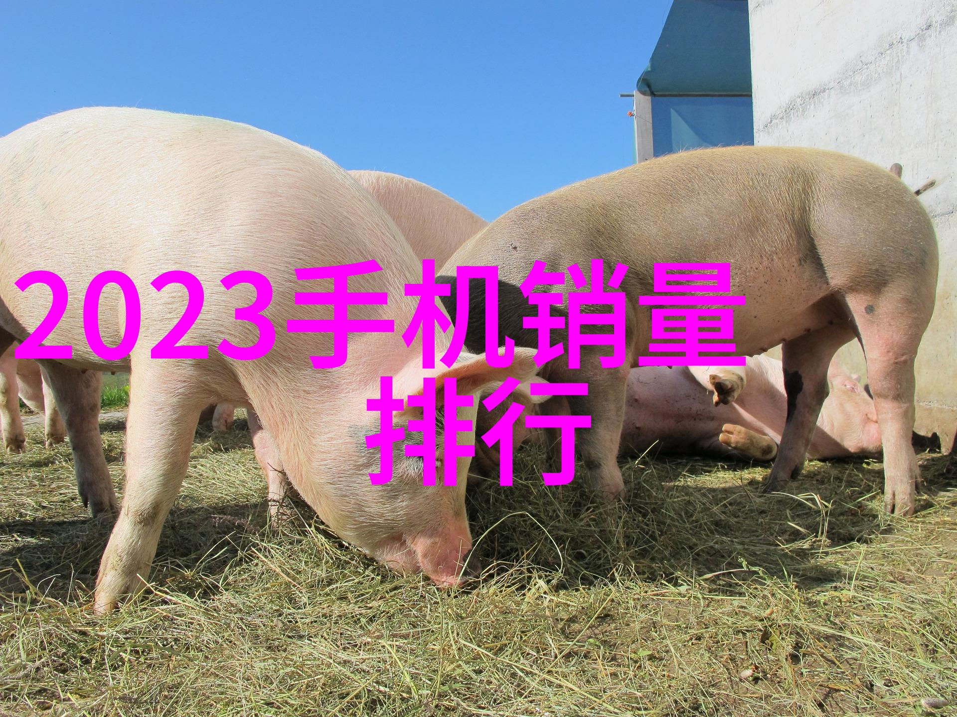 废气净化处理系统的技术进步与环保效益