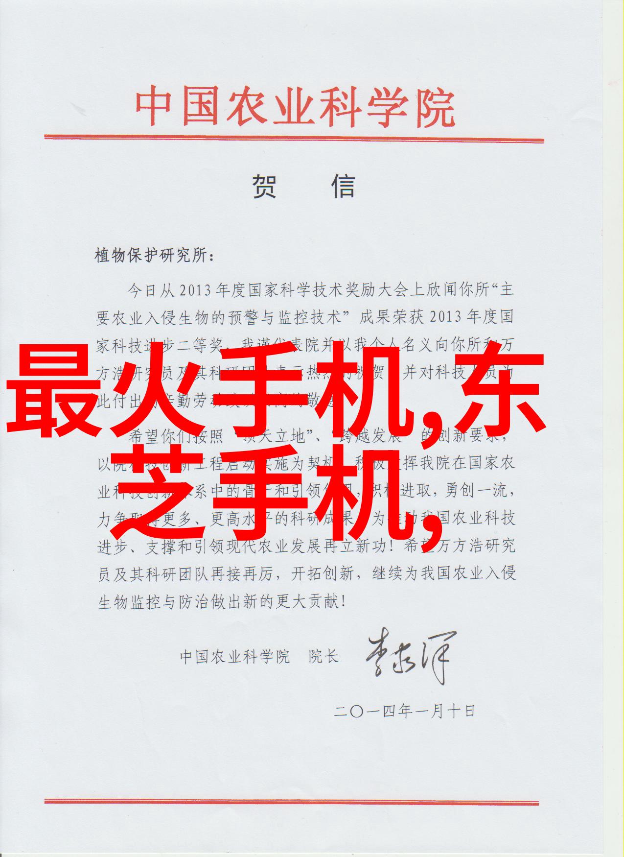宝宝的扇贝真会夹哦WWW亲子互动趣味学习体验总结