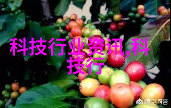 我该如何评估大宅别墅设计装修公司的专业水平和服务质量