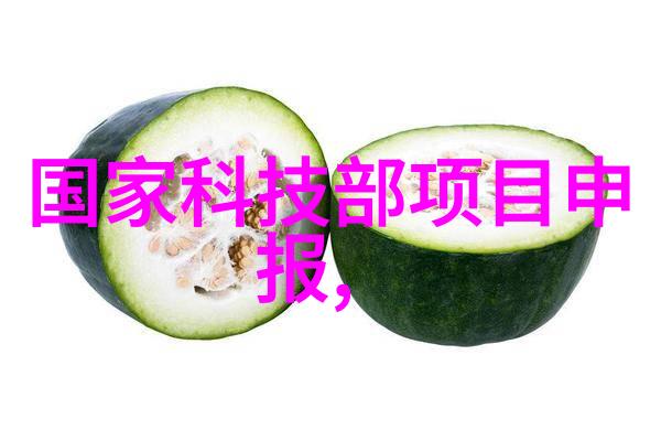 家居美学-温馨舒适的客厅装修装饰艺术