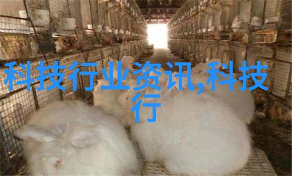 装修不花钱来点创意变废为宝让家具飞起来