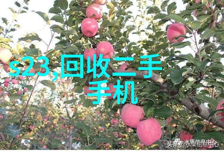 PP-R管材环保无毒的热水系统新选择