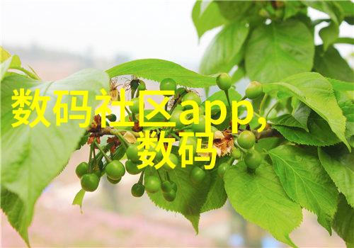 社交网络-S货大声点C懒烂你的SBXS社交平台上如何有效提升个人影响力