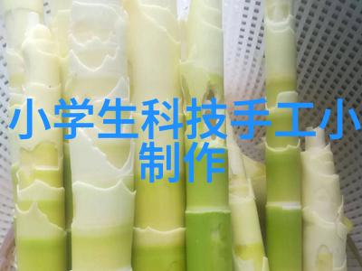从原料到成品高效的成品灭菌技术与应用探究