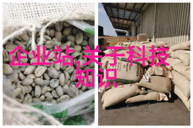 化工灌装机械在现代工业生产中的应用与发展研究