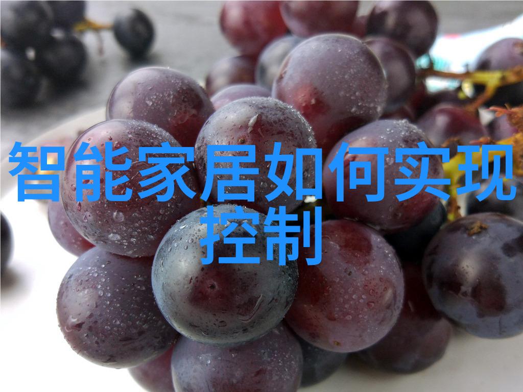 选择最佳实用净水器解析不同技术的优势与局限