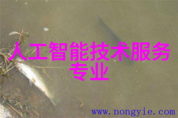 液压圆锥破碎机新时代矿物加工的高效利器