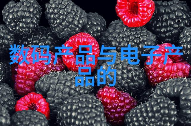 虚拟空间大师如何用装修设计软件创造理想家居