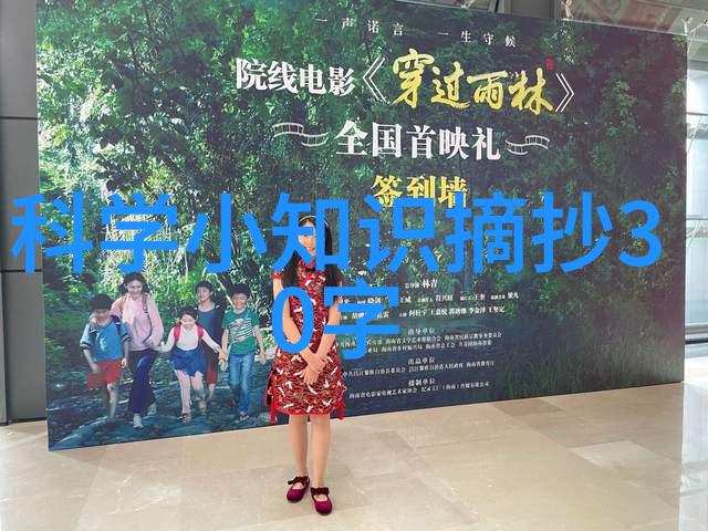 流水线输送设备高效的物料运输解决方案