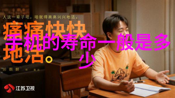 古典风格复兴传统工艺与现代材料的结合在室内外墙装饰上