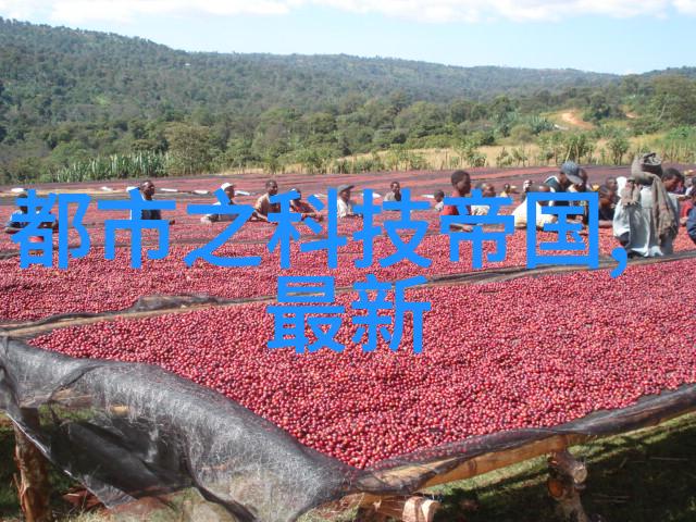 装修施工方案简单版我的家里怎么装修