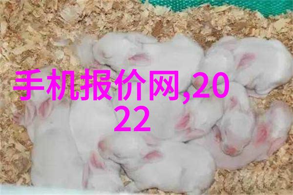 医疗设备未来健康的守护者