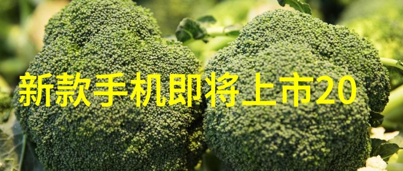 宇航员训练模拟重力环境的旋转离心机之旅