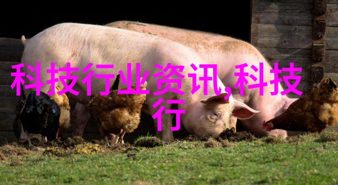 液体净化之道膜分离工艺的奇迹