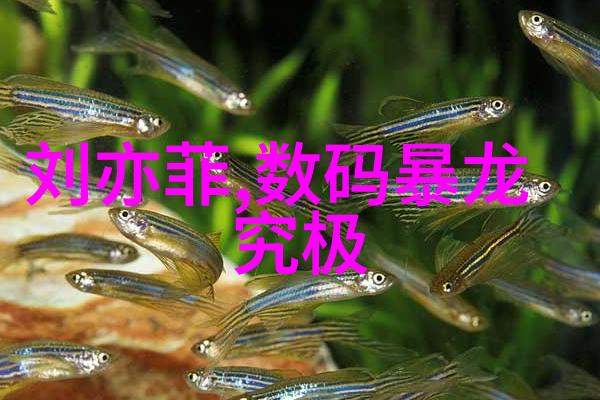 索尼影视娱乐公司将于2025年1月换帅