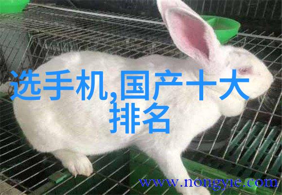 大型中药提取浓缩设备-高效绿色提炼大型中药提取浓缩设备的研发与应用
