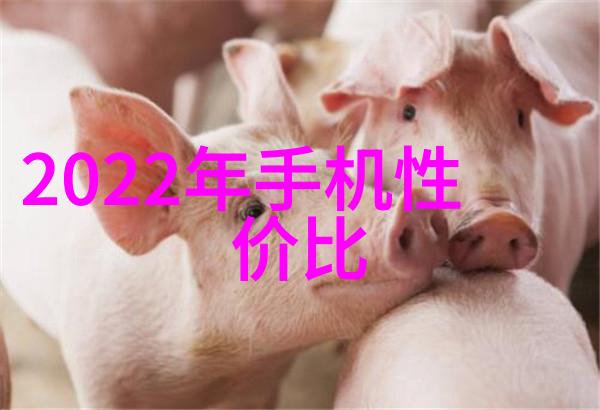 机器之心分离机的奥秘
