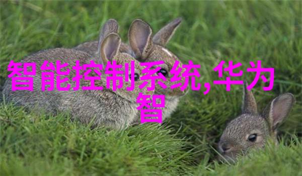 智能交通监控系统高效的城市交通管理技术