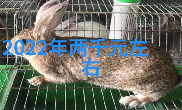 构建智慧物流新格局中国智能物流骨干网的发展与展望