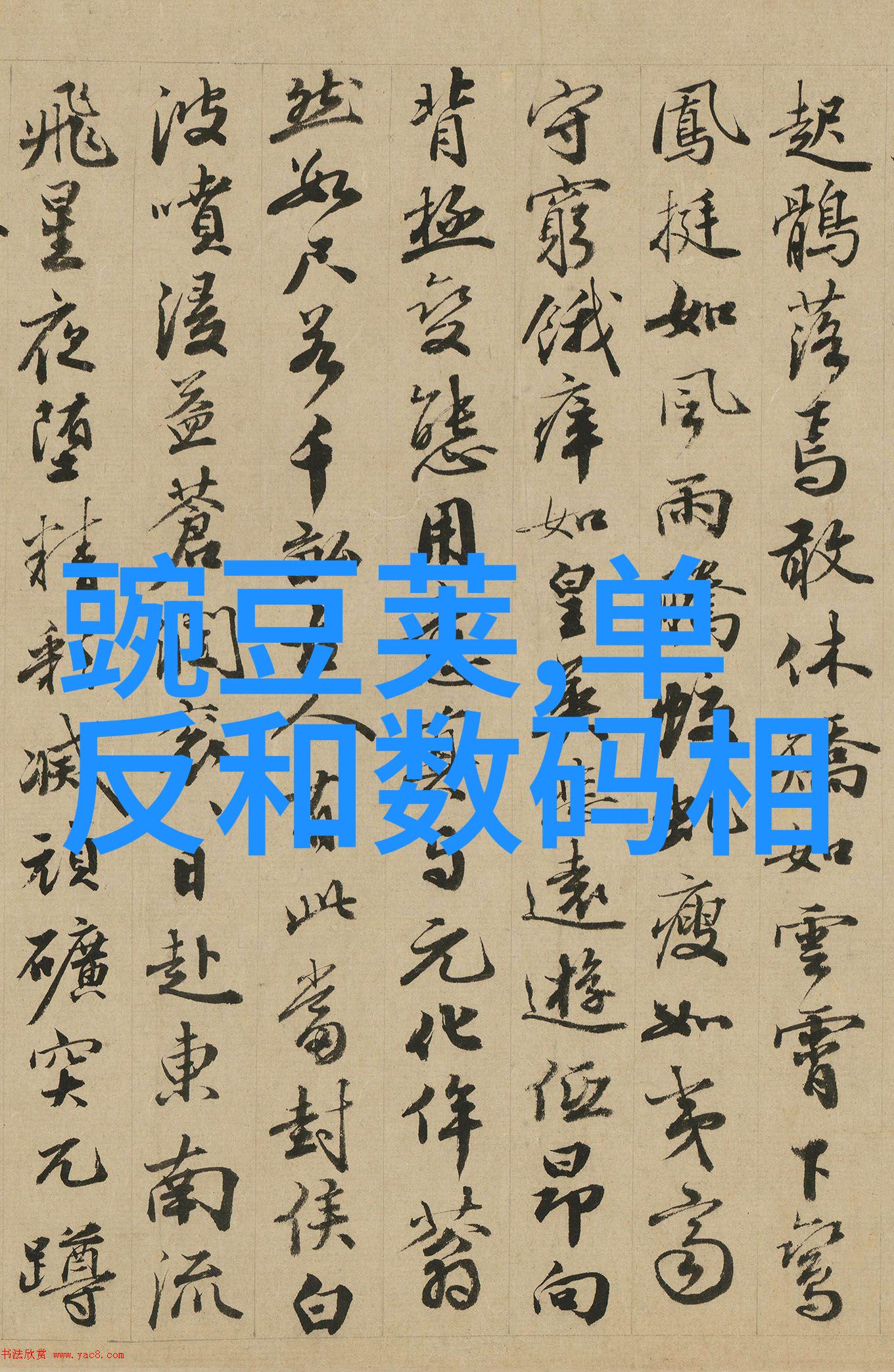 生活家装饰官方网站-探索生活家的家居风尚官方网站独家精选
