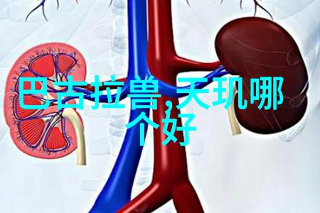 对于大型污水处理设施来说预防性维护对哪些部件至关重要