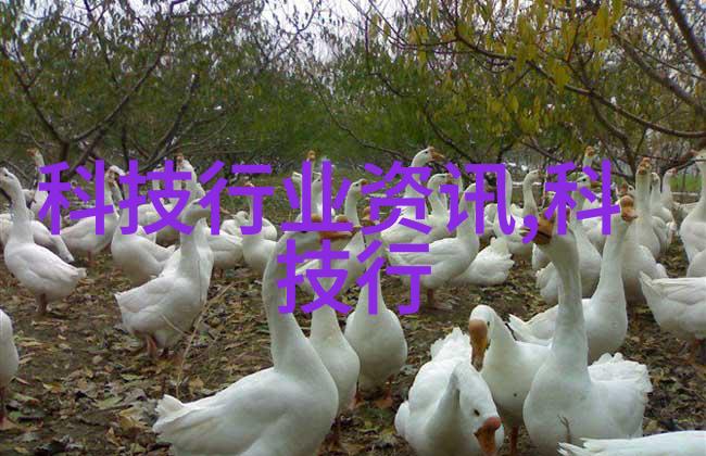 课堂小秘密上桌的震动爱好者