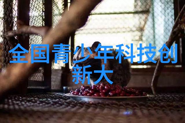 双层洗浴空间的完美融合一卫改二卫生间设计灵感