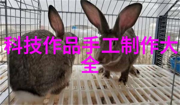 生活小贴士我来告诉你110水管价格都有哪些哦