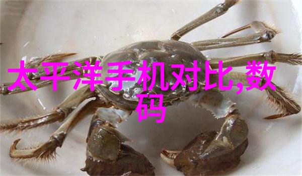 设备守护物品的长眠之旅