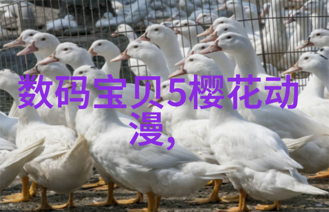 惊悚乐园夜幕下的恐怖游戏